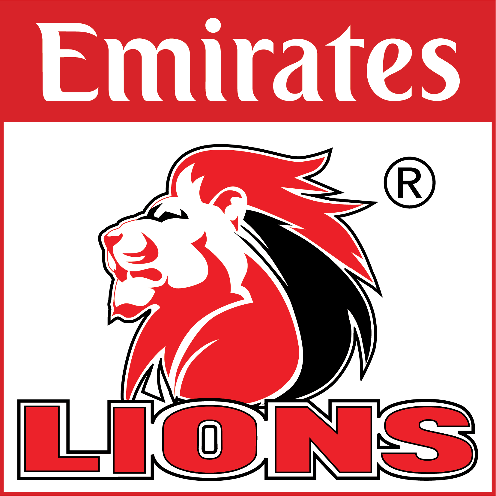 lions rugby